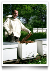 Récolte de Miel dans une ruche